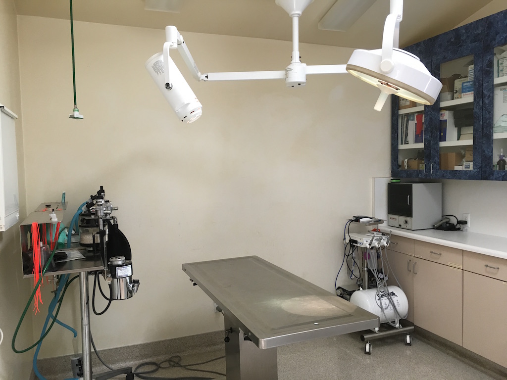 Procedure room for surgeries