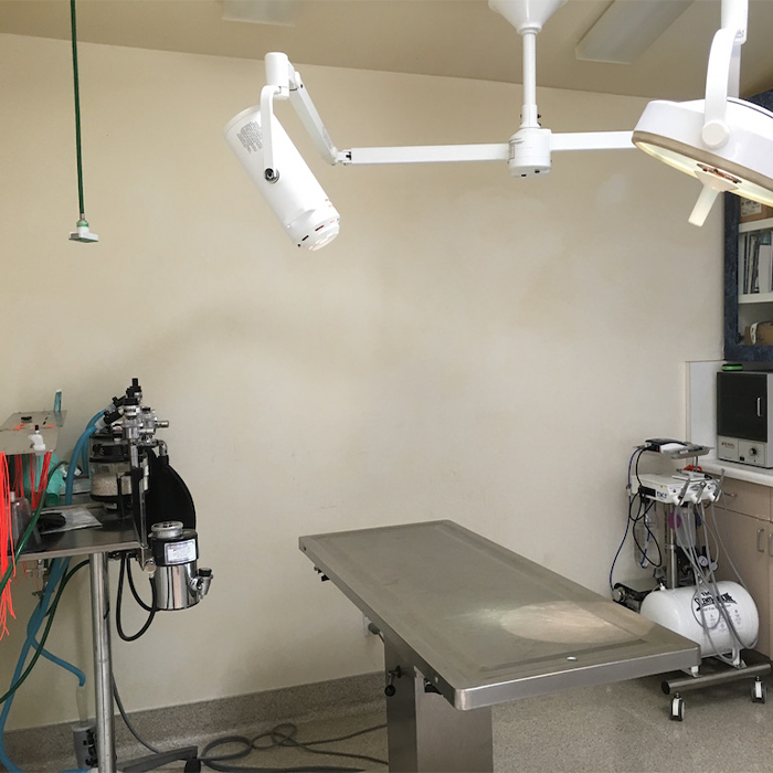 Procedure room for surgeries