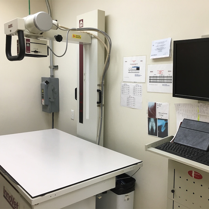 X-ray machine for pets