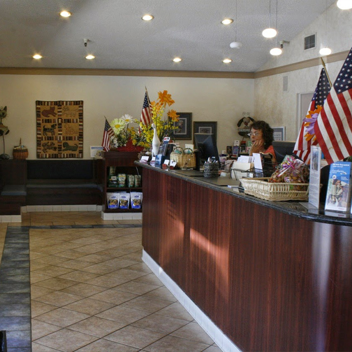 Reception of Cameron Veterinary Hospital